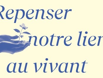 CC-Foret_Banners5_main