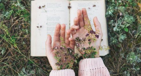 fhaayfhaayjpg-2_main