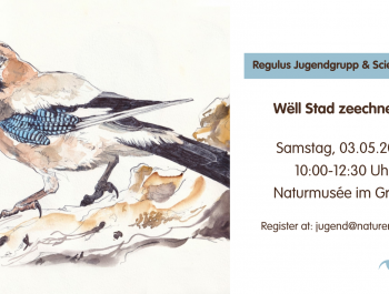 Dimanche-le-4-mai-2025_main