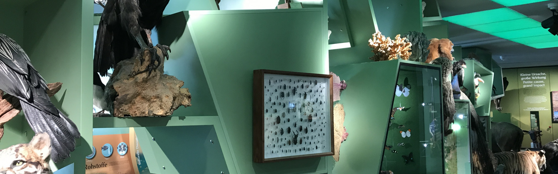 Guided tour of the permanent exhibition - Visit Luxembourg City