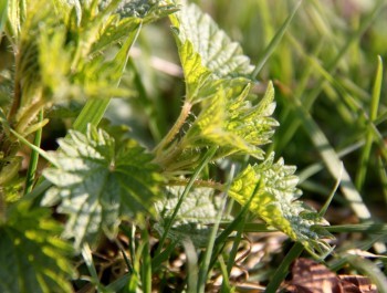 kywf0kywf0jpg-1-scaled_main