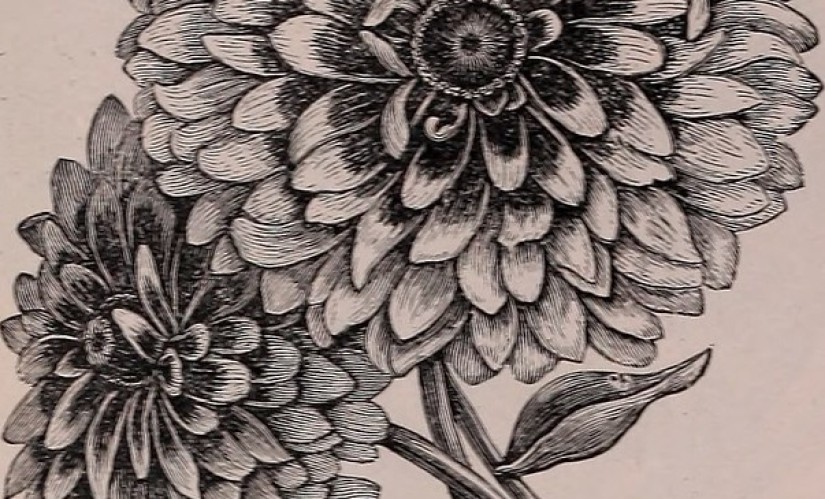 20380315260_0b5fba3aab_c