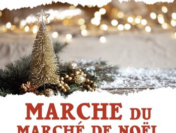 FLMP IVV Weihnachtsmarkt Wanderung