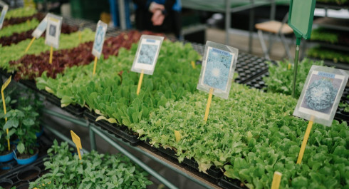 md_vdl-glacismart-20mai-09420