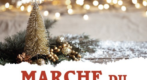 FLMP IVV Weihnachtsmarkt Wanderung