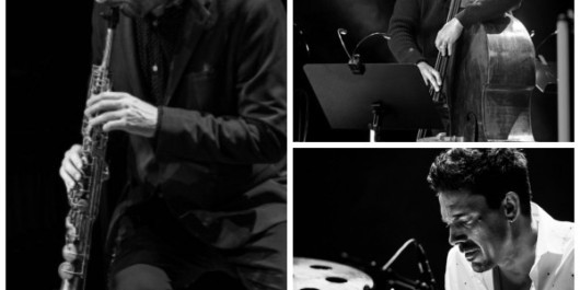 Trioon-collage-c-Heimlich-Henrot-Heimlich-small_main