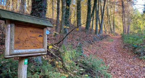 Aire jeux en forêt "Bambësch"