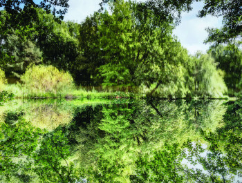 Su-Mei-Tse-2021-287-003-001_main