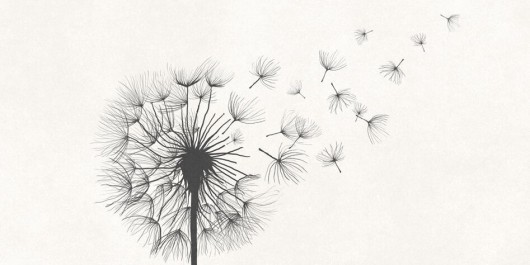 iStock-1321446076_recadre_main