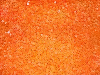 wcbxrwcbxrjpg-1_main