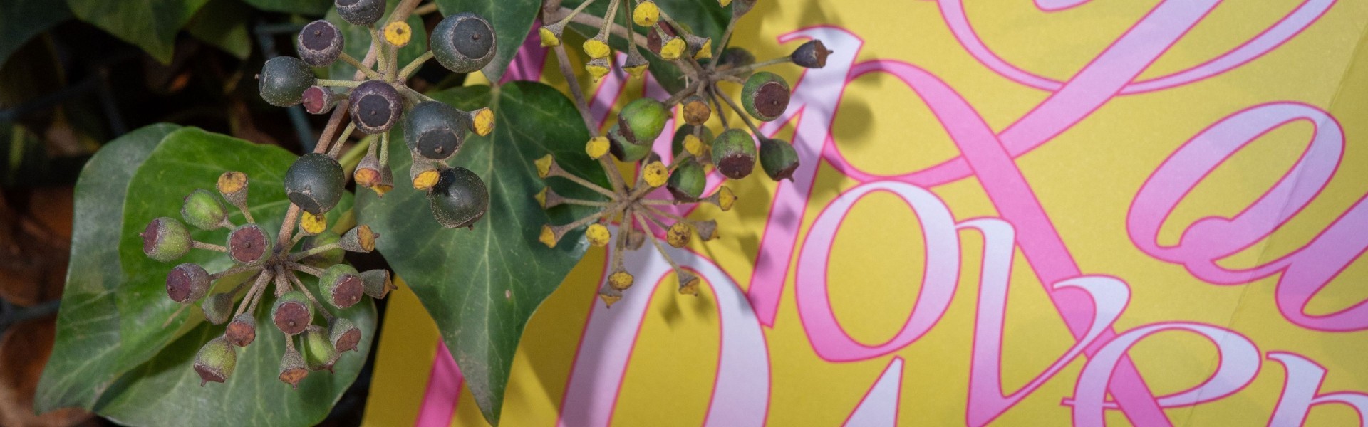 Risodence - Visit Luxembourg City