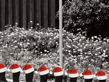 Screenshot-2025-11-05-at-12-54-03_main