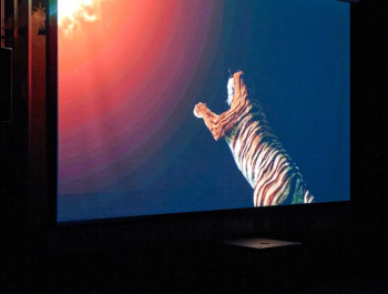 0b103459-b14b-db76-5f49-a38cdc3c1fb4_main