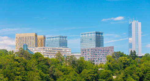 Guided tour Kuebebierg
