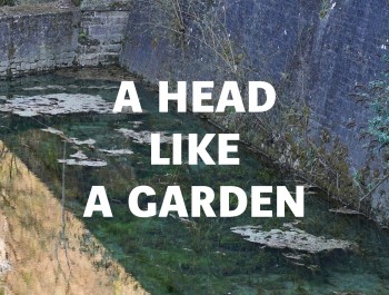 02_Marco-Godinho_Banner-WeB_Luga_Cercle-Cite-_low_main