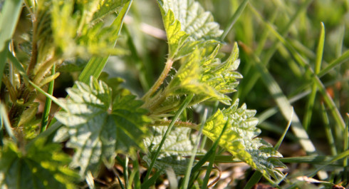 e4file4filjpg-2-scaled_main