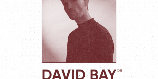 De-Gudde-Wellen-david-bay_main