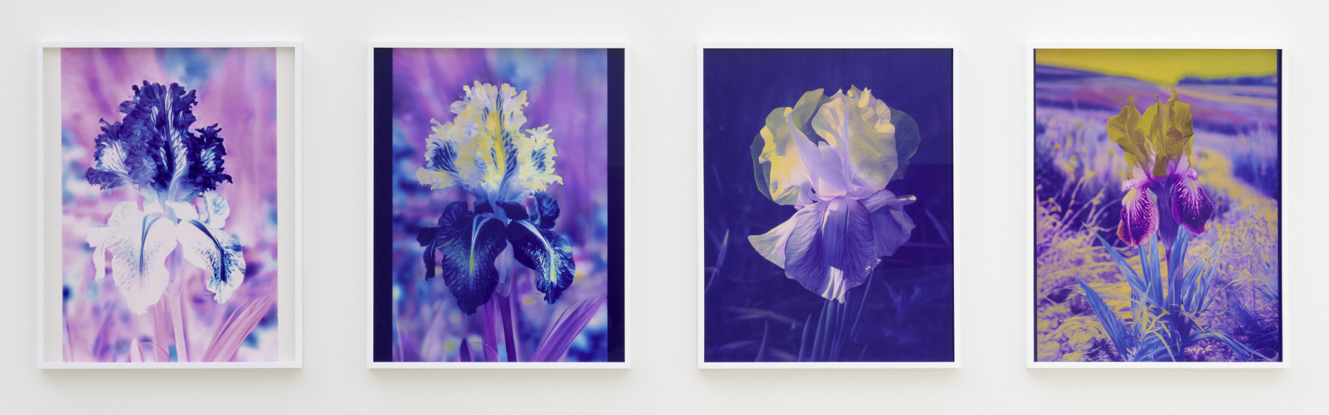 Printmaking Lab | Sunprint - Besuchen Sie Luxemburg Stadt