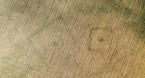 Conference_Iliya-Hadzhipetkov_01_main