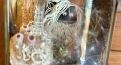 Wk_Zauberlandschaft-im-Glas_main