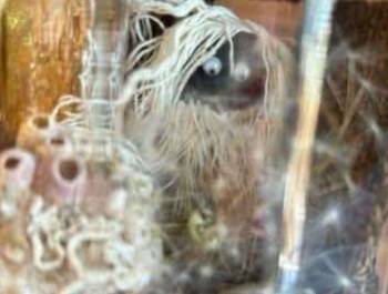 Wk_Zauberlandschaft-im-Glas