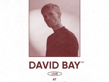 De-Gudde-Wellen-david-bay_main