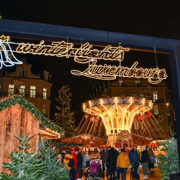 Winterlights by Night