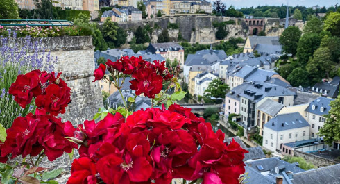 Rosengarten "Rousegaart op de Rondellen”