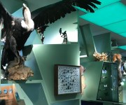 Guided tour of the permanent exhibition