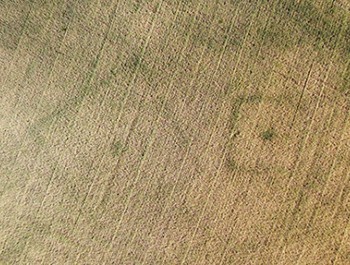 Conference_Iliya-Hadzhipetkov_01