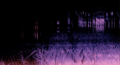 Sam-Erpelding_Zur-toten-Pappel-2024