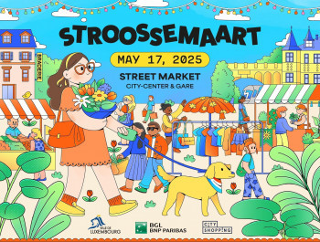 Stroossemaart_Echo_compressed_main