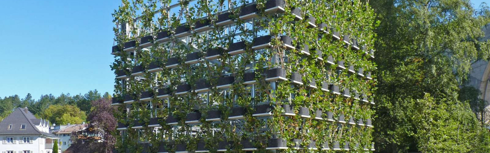 Institutional Partners on trail: Konferenz &#8211; Baubotanik - Visit ...