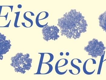 CC-Foret_Banners4_main