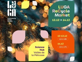 visuels-site-web-3-1024x941