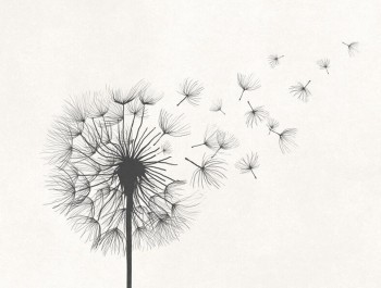 iStock-1321446076_recadre_main