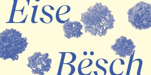 CC-Foret_Banners4_main