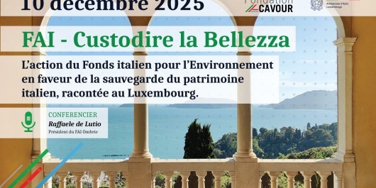 echo-imagev2resize_main