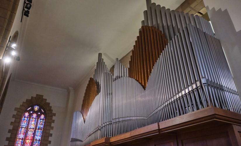 Foto-Cath-drale_main