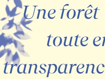 CC-Foret_Banners11_main