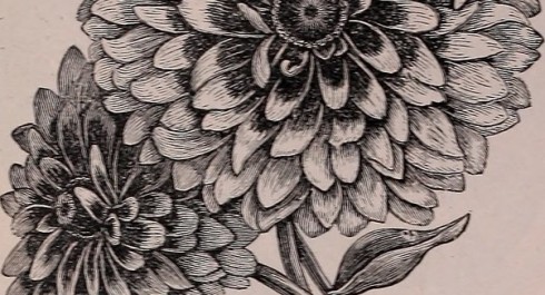 20380315260_0b5fba3aab_c