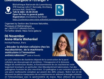 Poster-Wehenkel-Nov-06_main