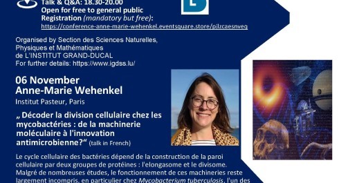 Poster-Wehenkel-Nov-06_main