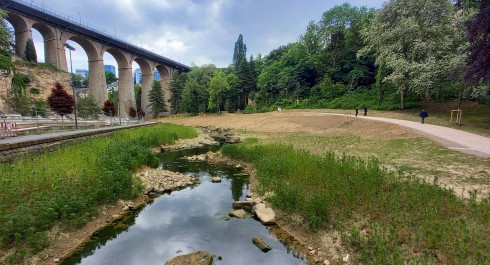 wgqi3wgqi3jpg-scaled_main