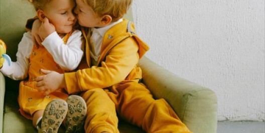 2025-11-21-16_28_35-shvetsa-jpg_main