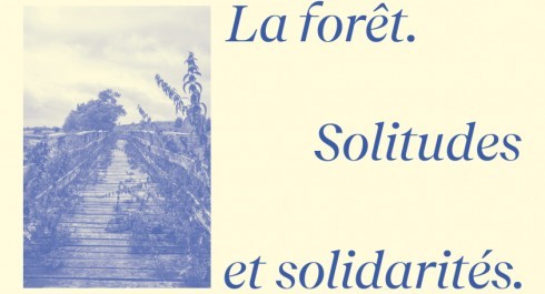 copyright-Letizia-Romanini