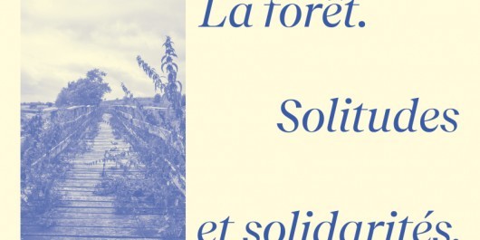 copyright-Letizia-Romanini