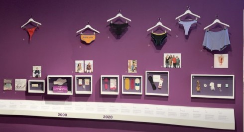 IMG_5313-1024x435_main