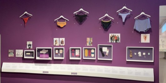 IMG_5313-1024x435_main