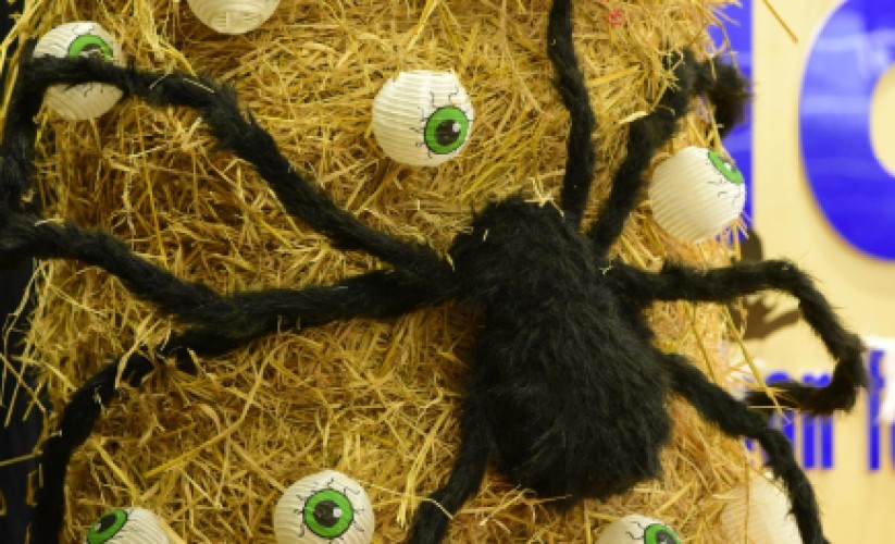 2025-11-22-11_06_35-Open